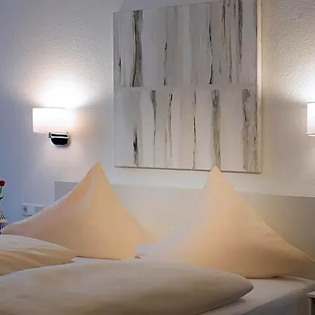 Hotel Mille Stelle Heidelberg